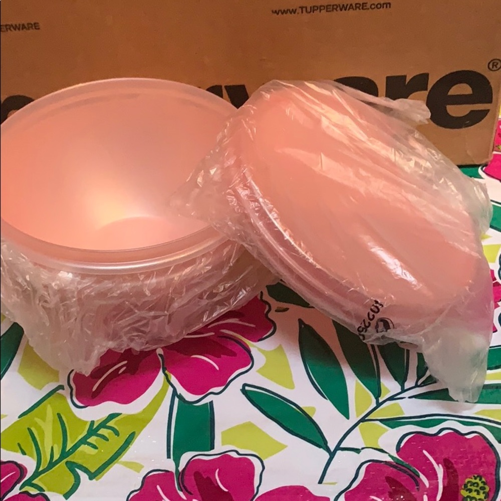 Tupperware Celebration Small Wonderlier Bowl Set